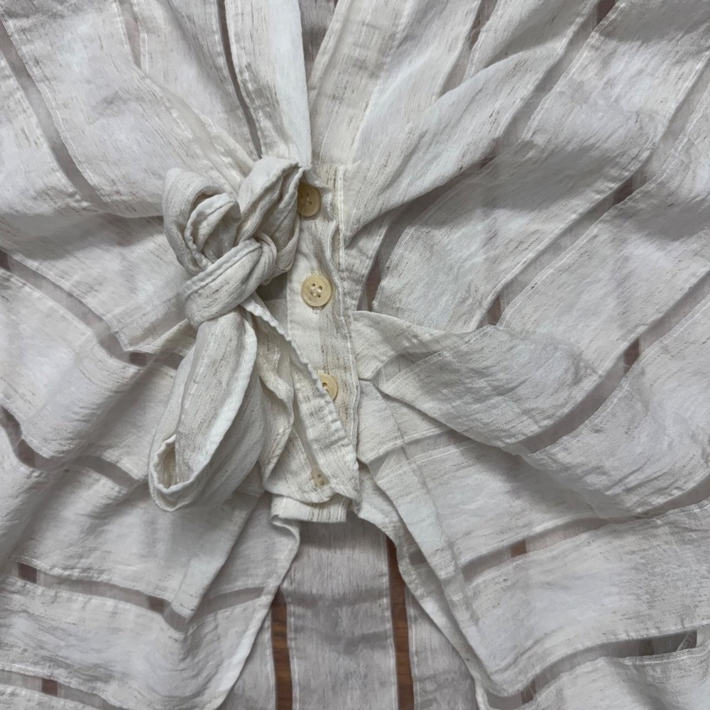 Zara Button Almost Translucent - image 3